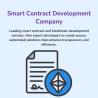 Blockchain Smart Contract Developer- ProtonBits
