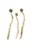 buy albino louisiana magic mushrooms online