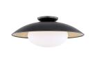 Cadence Light
