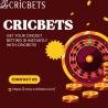 Cricbets | Safe & Reliable Online Cricket Betting ID Provider