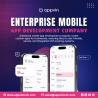 Enterpeise Mobile App Development Company
