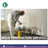 Expert Mold Remediation Services by Mack Mold Removal LLC