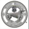 Grey Ghost - Private Investigator Kendall