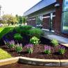 Lawn Mowing Services Metro Detroit
