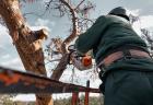 Monterey Park Tree Service