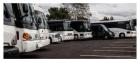 Party Bus Rental Toronto
