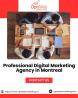 Professional Digital Marketing Agency in Montreal