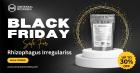 Shop Rhizophagus Irregularis Black Friday – Best Deals, Order Now!