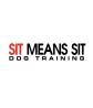 Sit Means Sit Dog Training Clermont