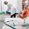 United Gastroenterology Associates, PLLC