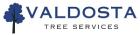Valdosta Tree Services
