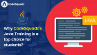 Why CodeSquadz’s Java Training is a top choice for students?