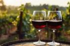 Wine Tour Driver