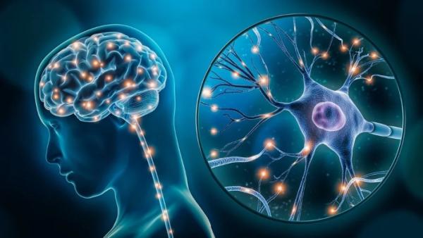 AI Neuro AI Agent Productivity App | Boost Efficiency & Well-being | Augment Me