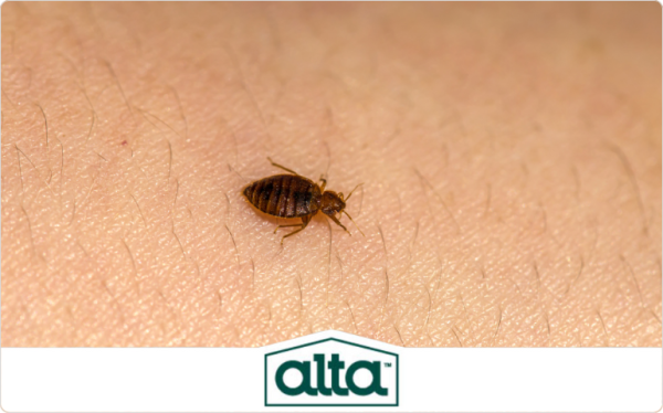 Alta Pest Control