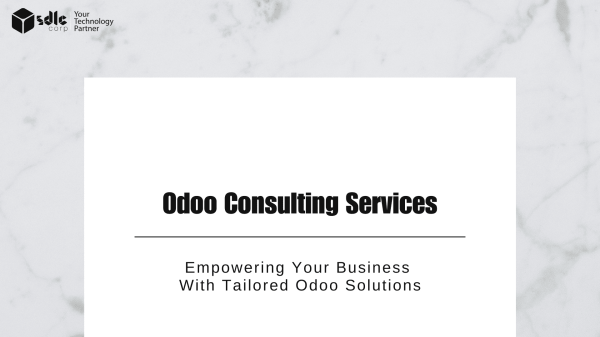 Odoo Consulting Services