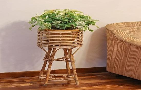 Bamboo Stands in Harayana Provider