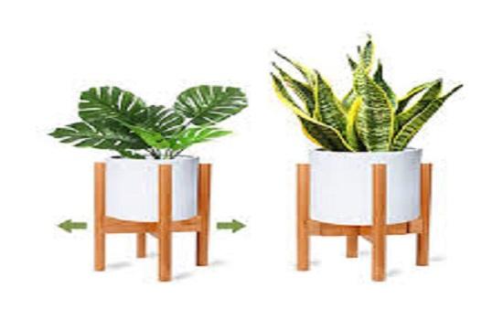 Bamboo Stands in Maharashthra