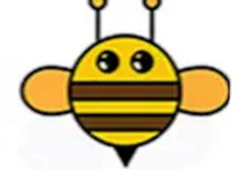 Bee Removal Corp