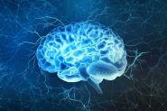 Better Mental Performance