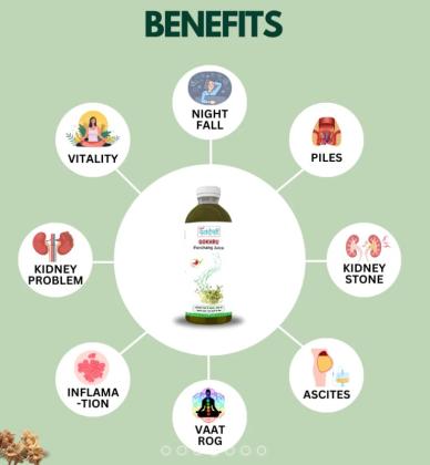 Boost Your Well Being With Gokhru Panchang Juice