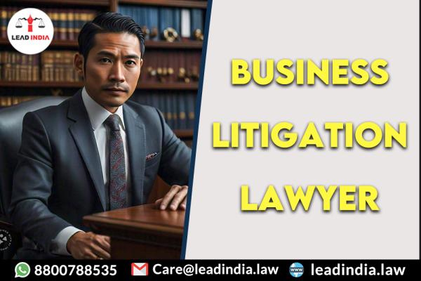 Business Litigation Lawyer
