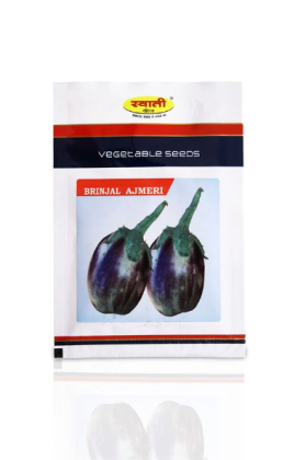 Buy Brinjal Seeds Online - BeejKart