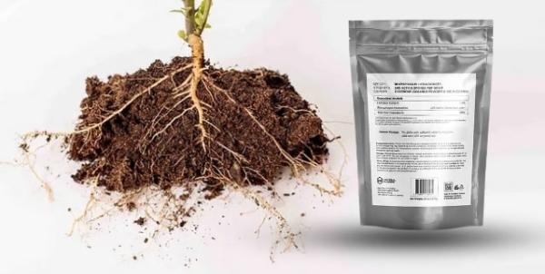 Buy Bulk Rhizophagus Intraradices – Affordable Factory Rates!