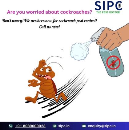 Cockroach Pest Control Bangalore | Cockroach Treatment | SIPC