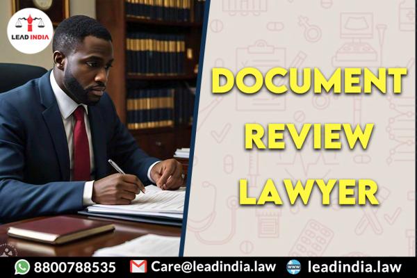 Document Review Lawyer