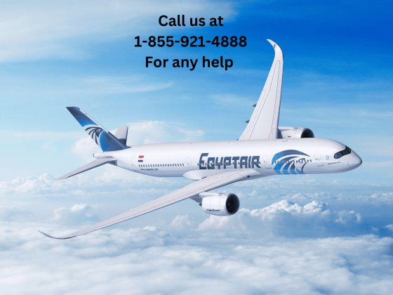 Does EGYPTAIR Have a Cancellation Policy?