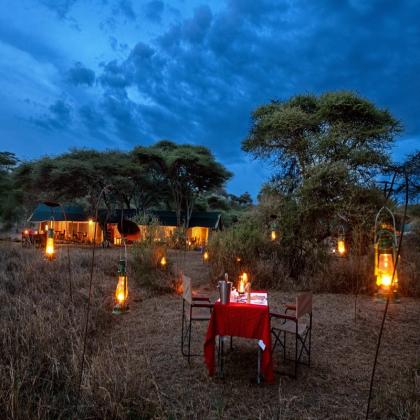 Embark on Unforgettable All-Inclusive Safari Holidays
