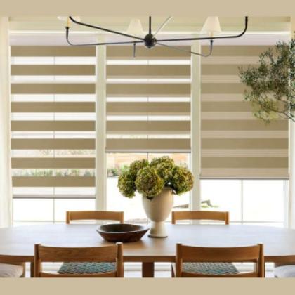 Energy-Efficient Skylight Shades