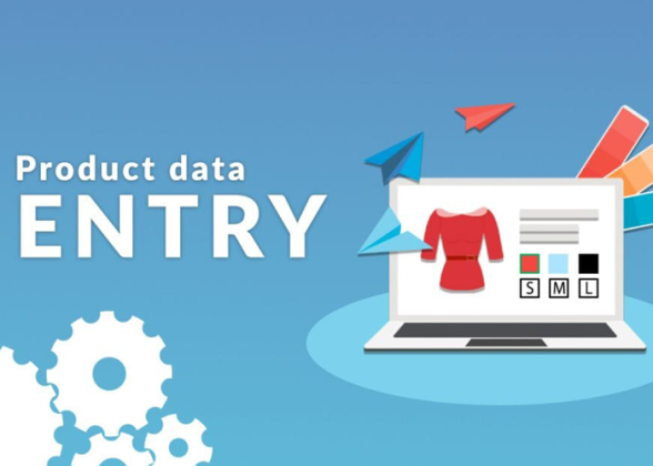 Expert Product Data Entry Services for E-commerce Success by DataPlusValue