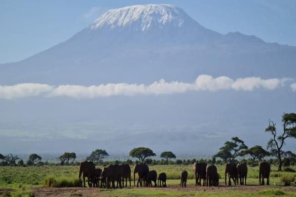 Explore the Wonders of Mount Kilimanjaro and Mombasa