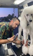 Galaxy Grooming