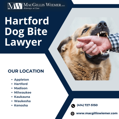 Get legal help for dog bites in Hartford today!