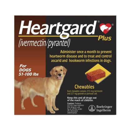 Heartgard Plus Chewables for Large Dogs - 30% Off at Discountpetcare!