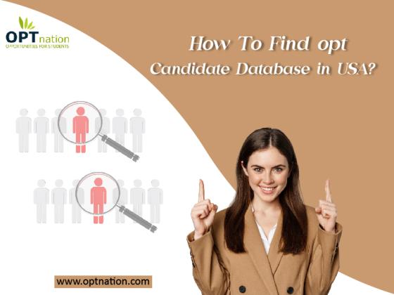 How to Find OPT Candidate Database in USA?