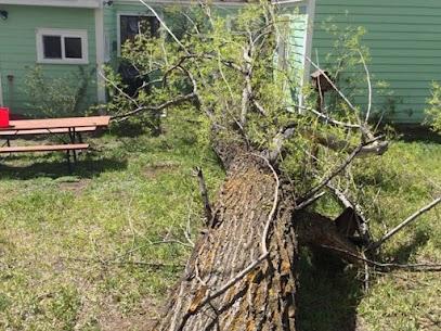 Indoor plant installation service near me | Tree-Mendous Tree Service, Inc