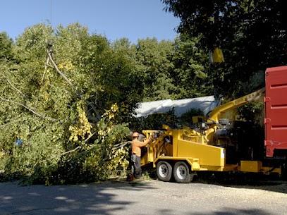 Indoor plant installation service near me | Tree-Mendous Tree Service, Inc