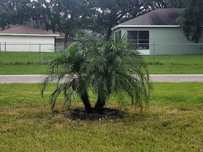 Indoor plant installation service near me | Tree-Mendous Tree Service, Inc