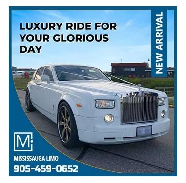 Mississauga Party Bus