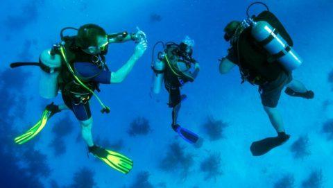 Mombasa Safari and Beach Holidays Package - The Ultimate Adventure