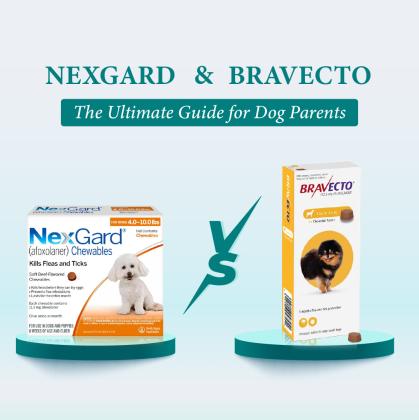 Nexgard vs. Bravecto: Ultimate Flea and Tick Guide