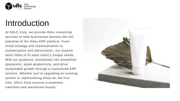 Odoo Consulting Services