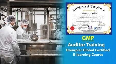 Online GMP Auditor Training