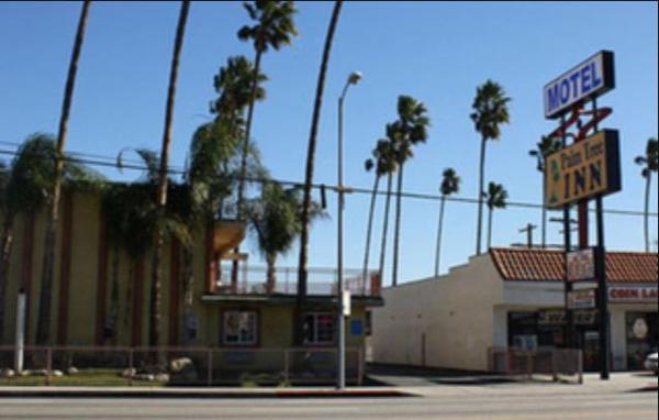 Palm tree inn