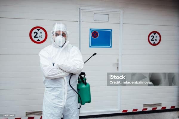 Pest Control and Extermination Enjoy 20% Off Top Services