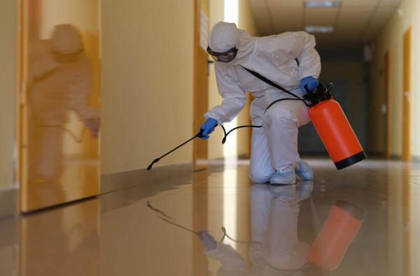 Pest Control in Agriculture Enjoy 20% Off Top Services
